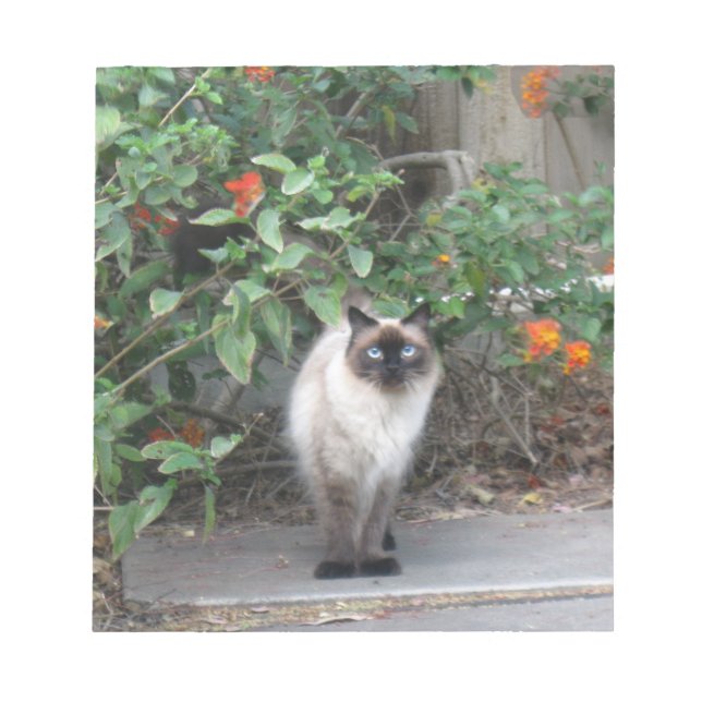 Himalayan Mix Cat Anteckningsblock (Framsida)