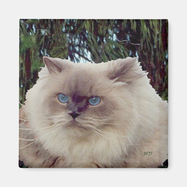 Himalayan Perser Katt Magnet (Framsidan)