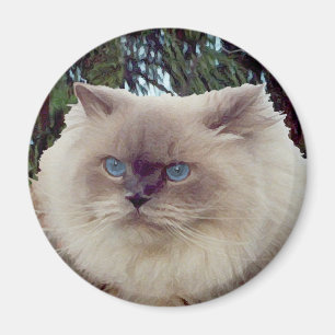 Himalayan Perser Katt Magnet