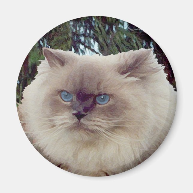 Himalayan Perser Katt Magnet (Framsidan)