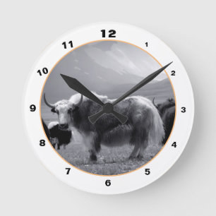 Himalayan Yaks & Mountains in Ladakh / Tibet Yak Rund Klocka