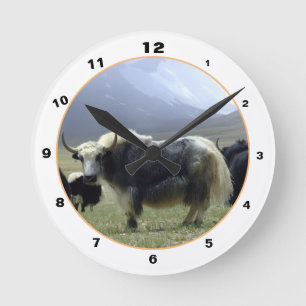 Himalayan Yaks & Mountains in Ladakh / yak Tibet Rund Klocka