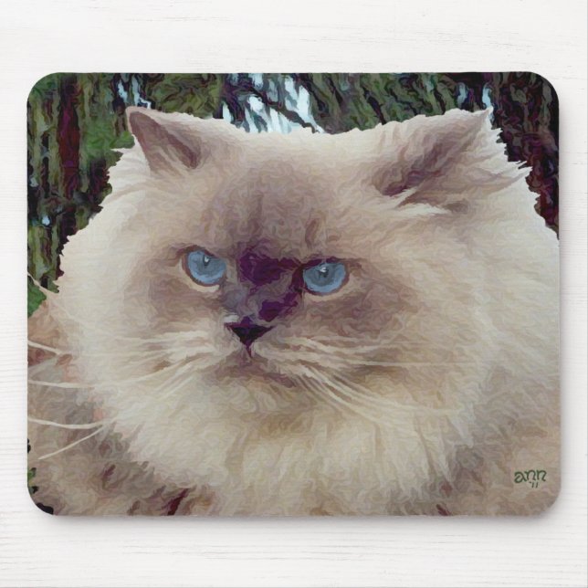 Himalayansk Perser Katt Musmatta (Framsidan)