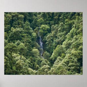 Himalayaskog i Mangdue-dalen, Bhutan Poster