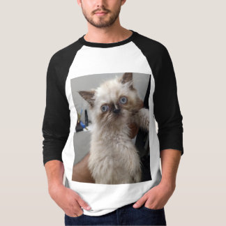 Himalyan cat print Tshirt JN T Shirt
