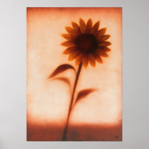 Himawari Solros Japansk Blommig Abstraktion Poster