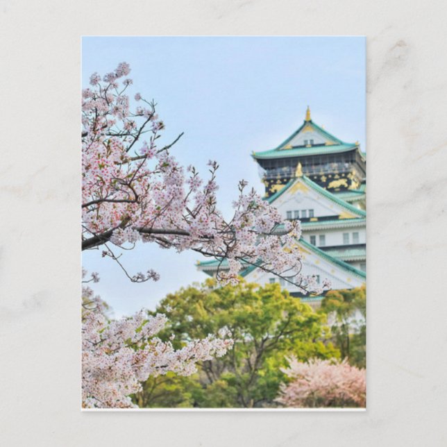 Himeji Castle med körsbärs-blommar Vykort (Framsida)