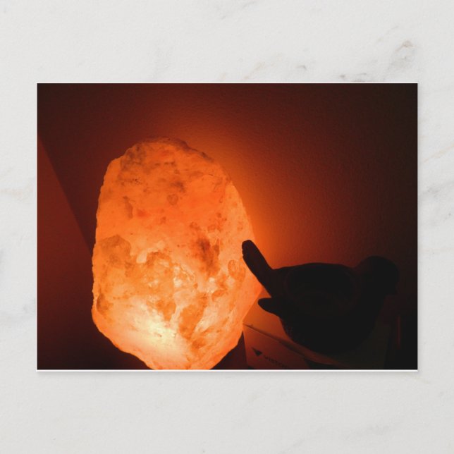 Himilayan Salt Lamp med fågel Vykort (Framsida)
