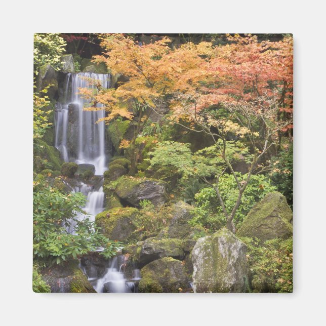 Himlafallet och höstfärger magnet (Framsidan)