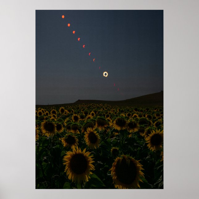 Himlakonsttryck av solrosfält  poster (Framsidan)