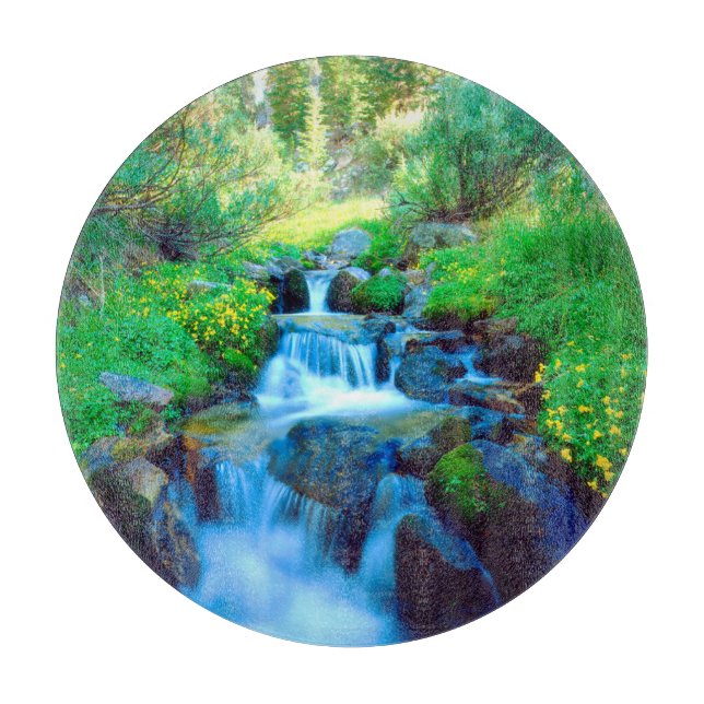 Himlar-ängar i Sierran Nevada-bergen (Framsidan)