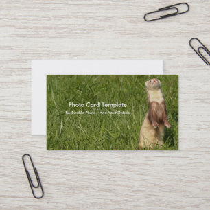 Himlar är Up Ferrets Visitkort