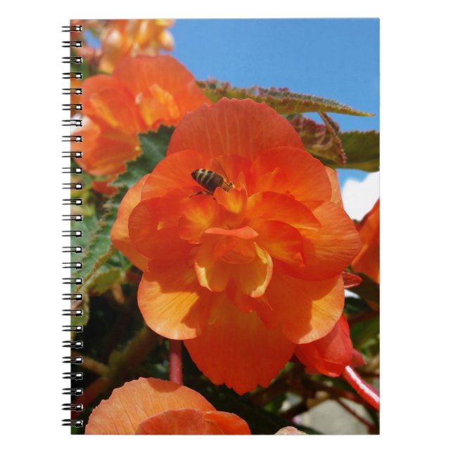 himlar, blommor och bin anteckningsbok (Framsidan)