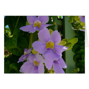 Himlar Flower Vine Tropical Lila Blommigt Hälsningskort
