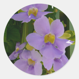 Himlar Flower Vine Tropical Lila Blommigt Runt Klistermärke
