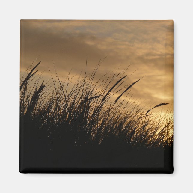 HIMLAR i GULD Magnet (Framsidan)