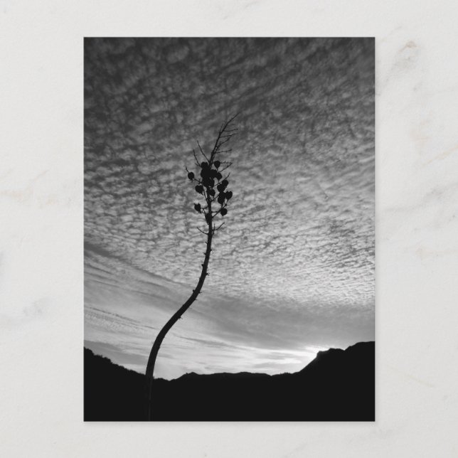 Himlar liggande vykort (Framsida)