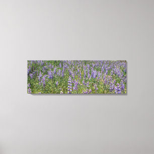 Himlar Lupines Canvastryck
