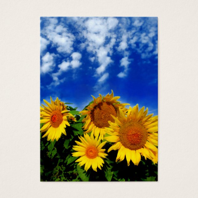 Himlar och blomma, profilkort visitkort (Framsidan)