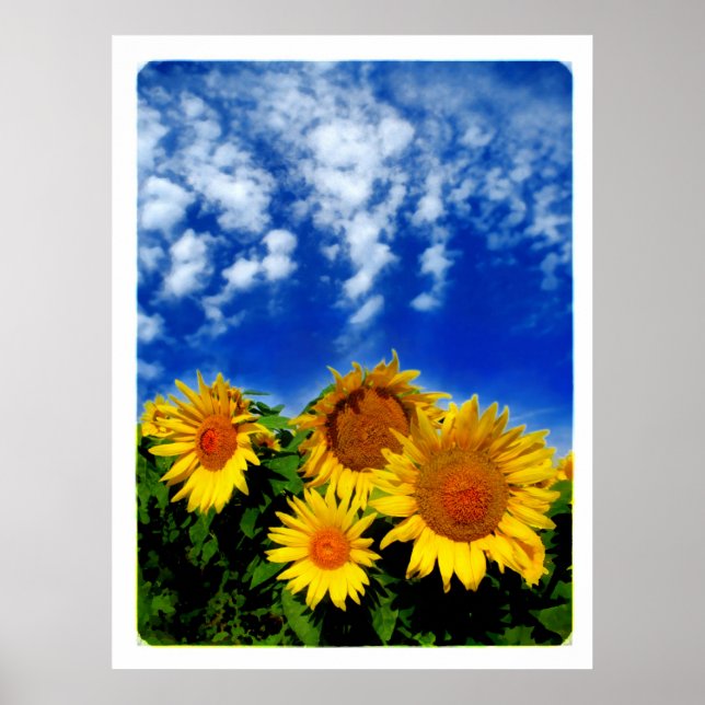 Himlar och Bloom , poster (Framsidan)
