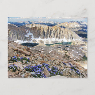 Himlar Pilot Flowers, Mt. Whitney, Kalifornien Vykort