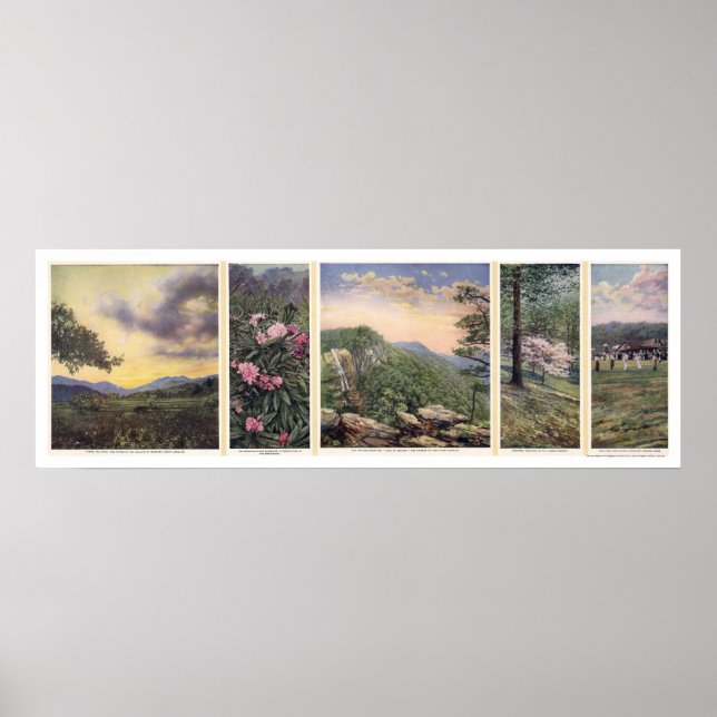 Himlar Poster 1917 (Framsidan)