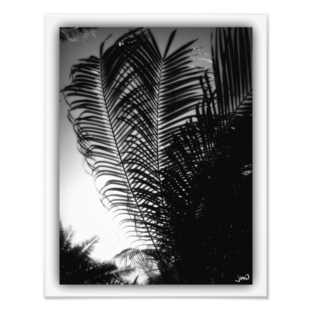 Himlar Scrapers Fototryck (Framsidan)