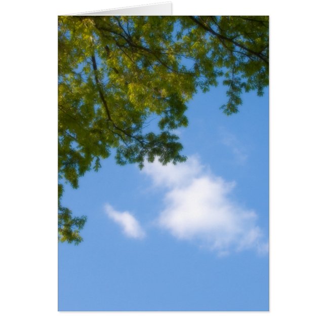 himlar-vy med träd överst hälsningskort (Framsidan)