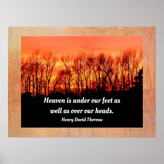 Himlen är över huvudet - Henry David Thoreau citat Poster (Framsidan)