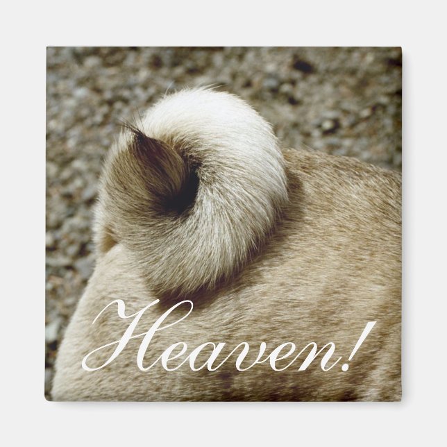 Himlen! Magnet (Framsidan)