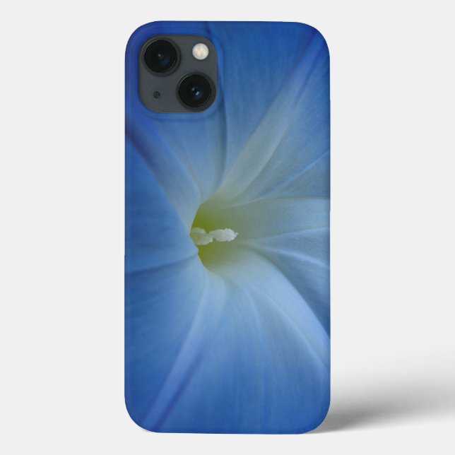 Himlensblå Änglatrumpet Närbild (Baksida)