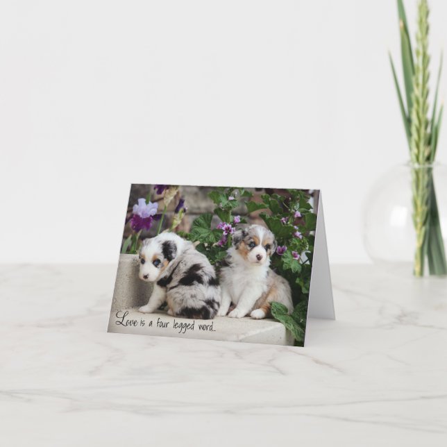 Himmel Blue Aussies Notecard Puppies 1 Kort (Framsida)