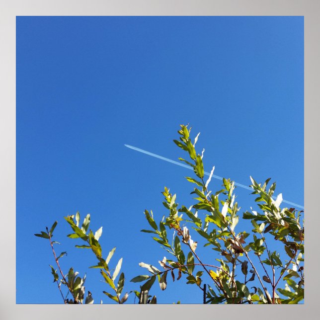 himmel poster (Framsidan)