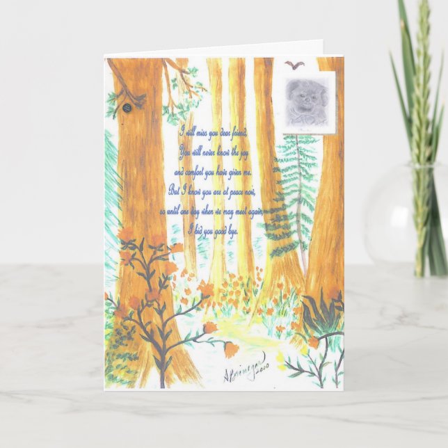 Himmelens sympatikort för husdjur kort (Framsida)