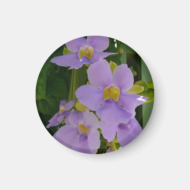 Himmelsblomma Tropisk Lila Blomma Magnet (Framsidan)