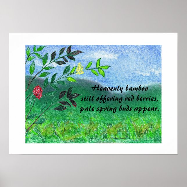 Himmelsk Bamboo Poster (Framsidan)