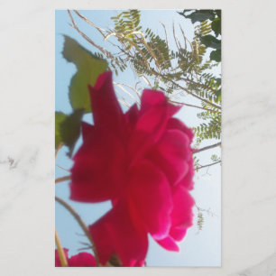 Himmelsk bloom: A Ro mot Himmel Brevpapper
