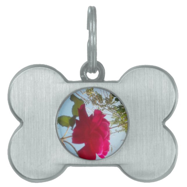 Himmelsk bloom: A Ro mot Himmel ID-bricka Husdjur (Framsidan)