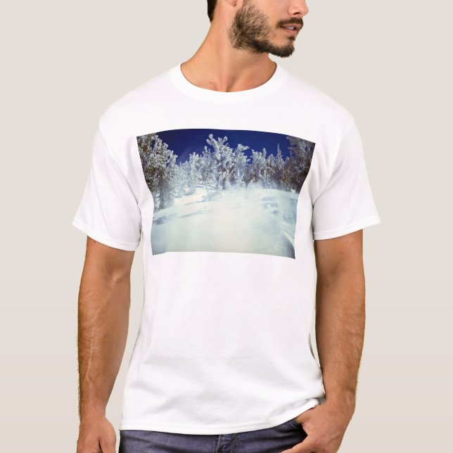 Himmelsk dal, USA T-shirt (Framsida)