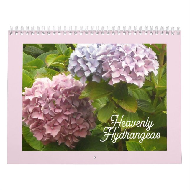 Himmelsk Hydrangeas-kalender Kalender (Omslag)