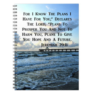 HIMMELSK JEREMIAH 29:11 SCRIPTURE DESIGN ANTECKNINGSBOK MED SPIRAL