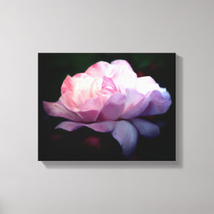 Himmelsk Rosa ros-färgsfärg Canvastryck