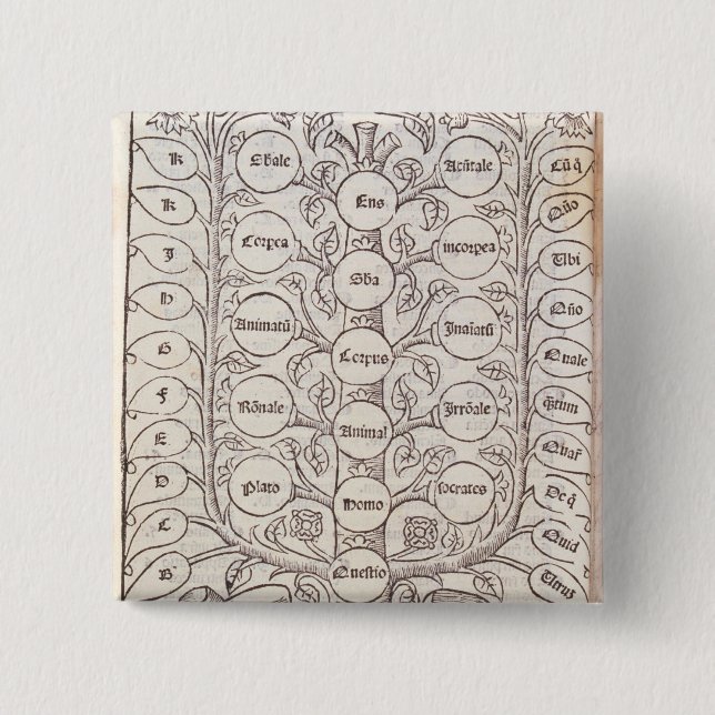 Himmelsk stege knapp (Framsida)