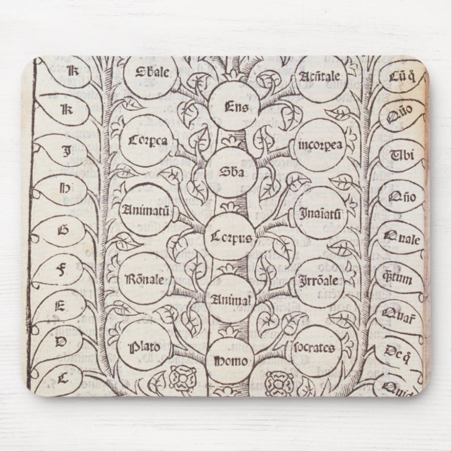 Himmelsk stege musmatta (Framsidan)