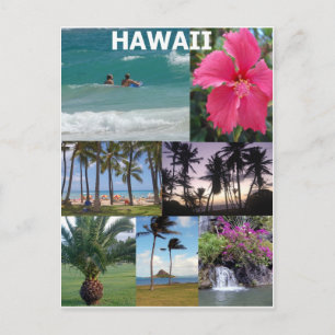 Himmelska Hawaii Vykort