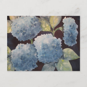 Himmelska Hydrangeas Vykort