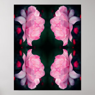 Himmelska Rosa ros-blomman Abstrakt Poster
