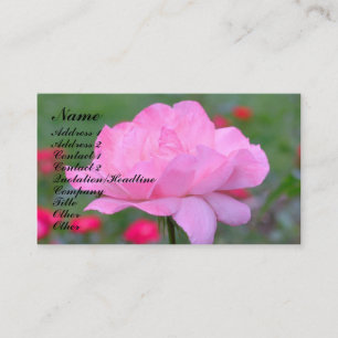 Himmelska Rosa ros-blomman Affärskort Visitkort