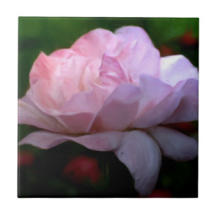 Himmelska Rosa ros Blommigt Art Kakelplatta