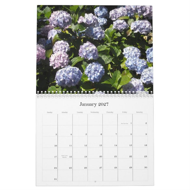 Himmliska Hydrangeor 2013 Kalender (Jan 2027)